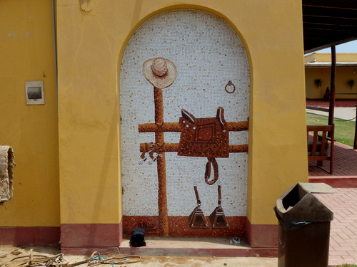 Peruvian Step Horse Show.